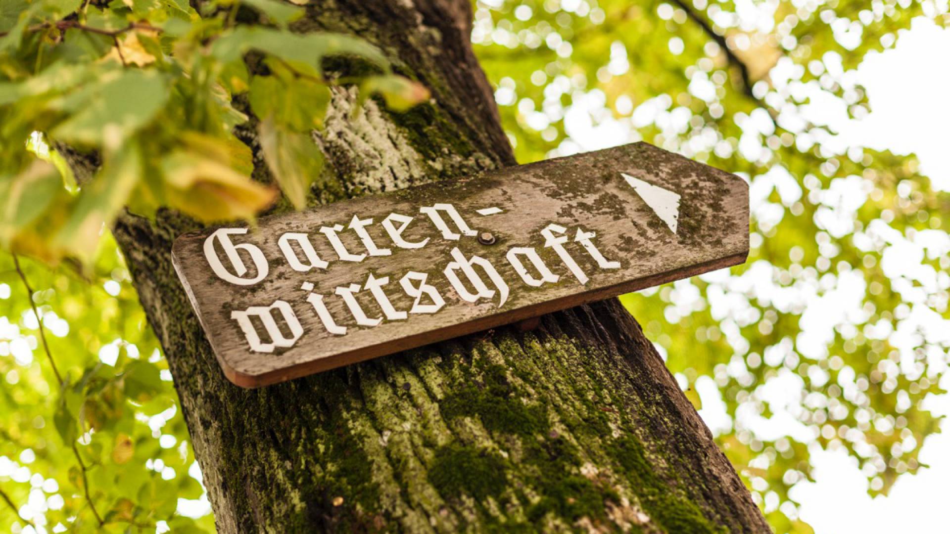 Holzschild hängt am Baum und zeigt zur Gartenwirtschaft